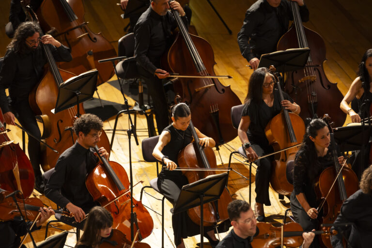 BRUCKNER 8, photo by Darrin Zammit Lupi
